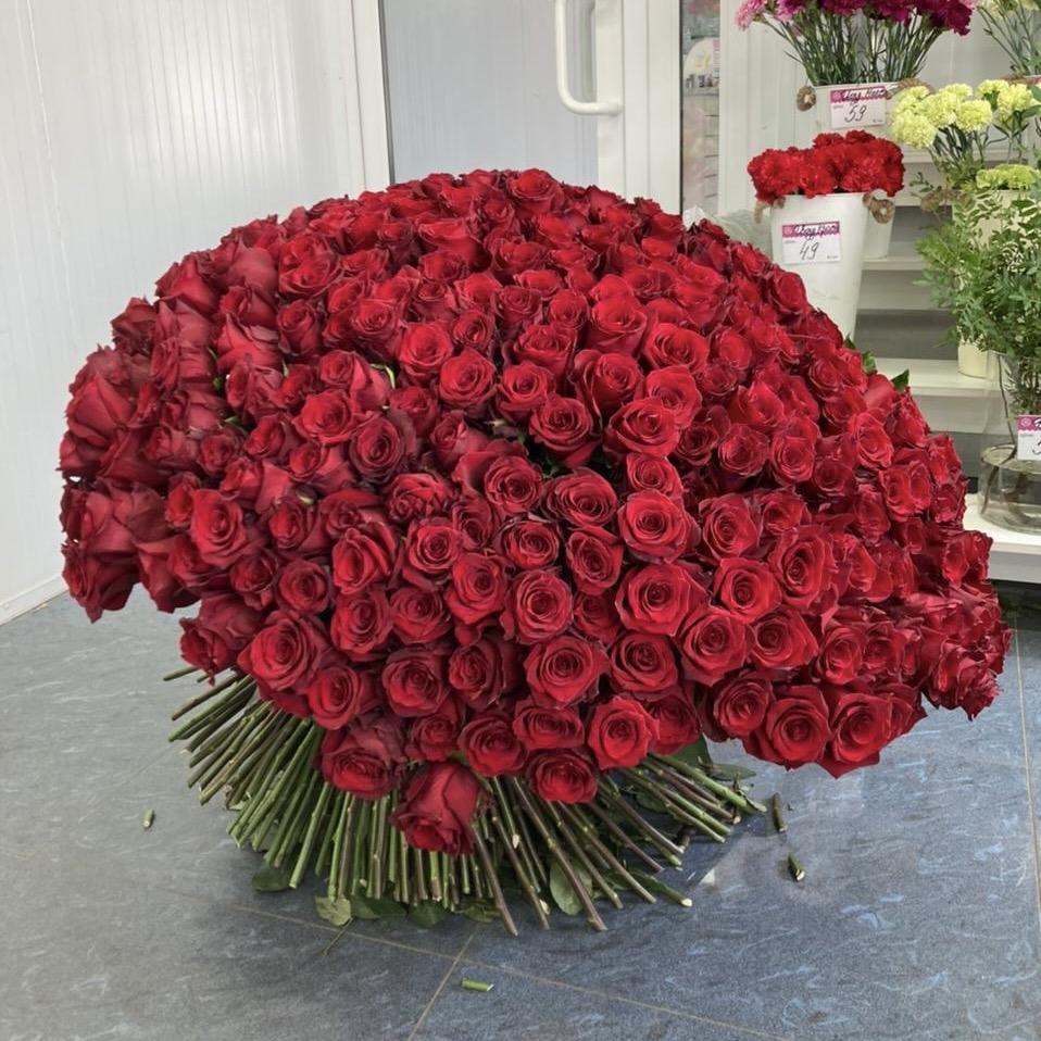Букеты из красных роз 80 см (Эквадор) (articul: 207252ulan)
