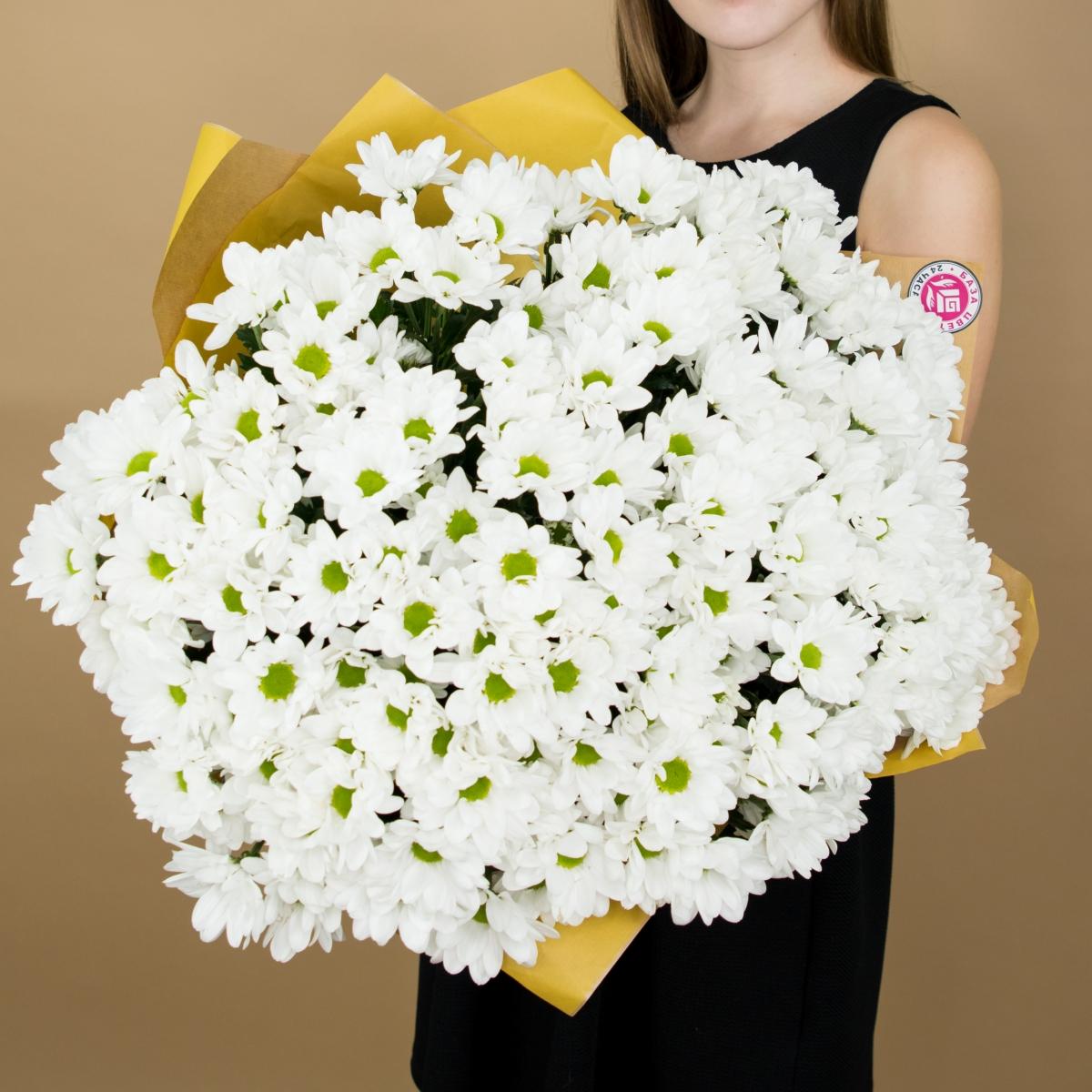 Хризантема белая (ромашка) № - 3078ulud