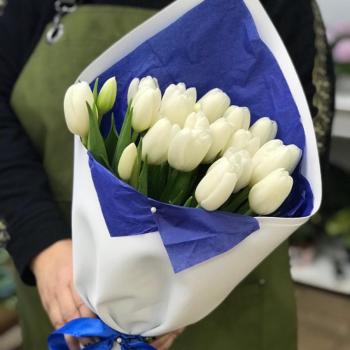 Белые тюльпаны 23 шт. (Артикул  344223)