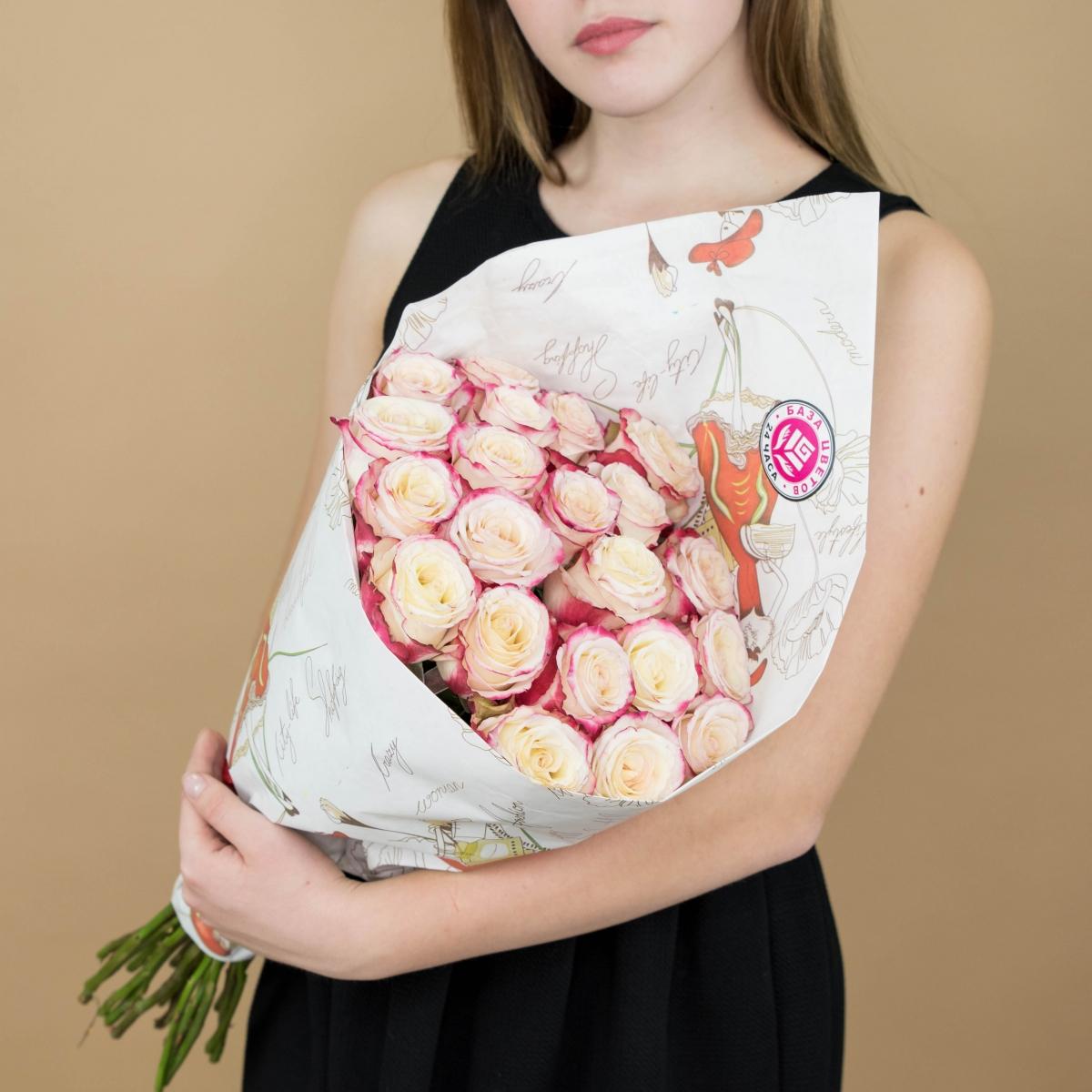 Розы красно-белые (40 см) Эквадор артикул букета  513ulan