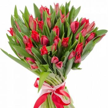 Красные тюльпаны 25 шт №: 148770ul